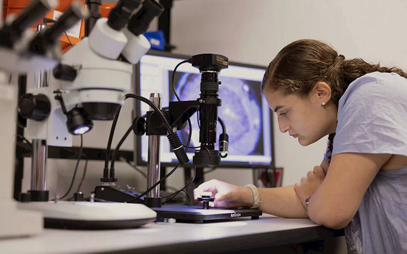 Female Employee Using Medical Imaging Device